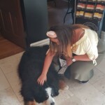 De mascotte van Sue-Ann: Brix!