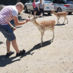 Lekker diertjes voeren